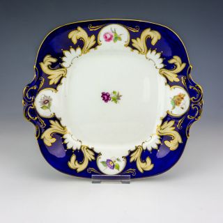 Antique English Porcelain - Flower Painted Plate - Gilded Cobalt Blue Borders