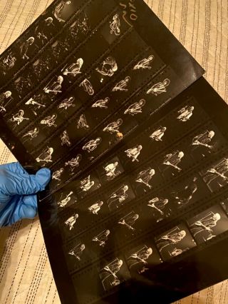 Tom Petty And The Heartbreakers - 2 Rare Photo Contact Sheets