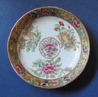 Chinese Canton / Famille Rose Porcelain Saucer - 19th Century