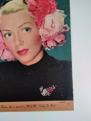 Hollywood 1940s Print Pin Up Rare Portrait Photo Lana Turner Greg Peck 3