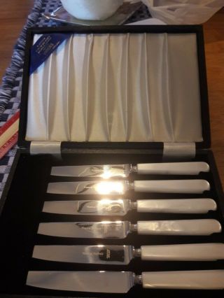 Viners Of Sheffield Mother Of Pearl And Stainless Set Of 6 Serrated Knives