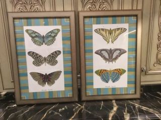Mackenzie - Childs Butterflies Artwork (set Of 2) Rare And Unique Pre - Owned
