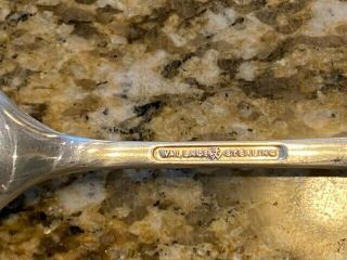 Royal Satin By Wallace Sterling Silver Dessert / Oval Soup Spoon 7 1/4 
