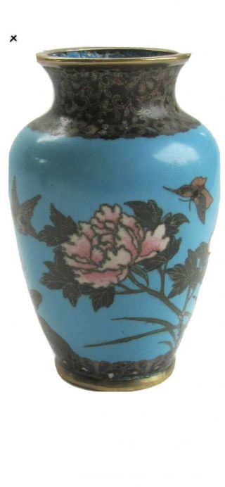 Antique Japanese Meiji Cloisonné Enamel Vase With Birds And Flowers On Blue Grou