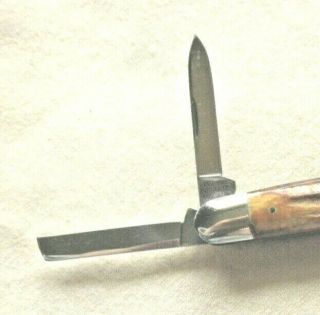 RARE 1990 CASE XX CLASSIC 53091 BIG FAT STAG WHITTLER USA POCKET KNIFE 6