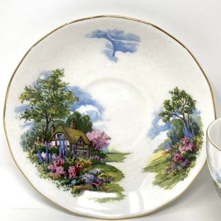 Vintage Royal Vale England Bone China Cup & Saucer Country Cottage Florals Woods 2