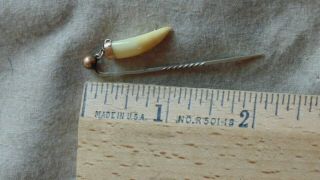 Vintage Antique Dangling Animal Tooth Stick Pin