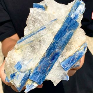 2.  52lb Rare Natural Blue Kyanite With Quartz Crystal Specimen Rough
