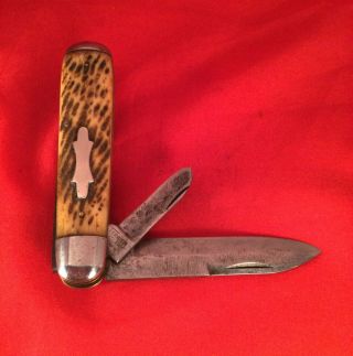 Vintage Robeson Terrier cutlery bone pocket knife 1910 - 16 rare old antique 4