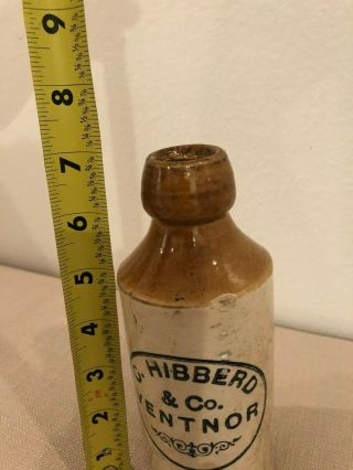 RARE Antique Hibberd & Co.  Ventnor Ginger Beer Bottle Stoneware Crock 2