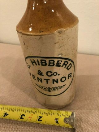 RARE Antique Hibberd & Co.  Ventnor Ginger Beer Bottle Stoneware Crock 3