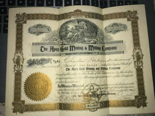 The Apex Gold Mining And Milling Company 1905 Antique Stock Certificate