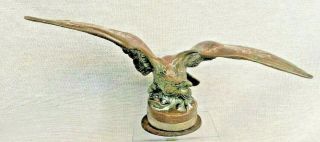 Rare Antique Art Deco Eagle Car Mascot Bronze Nickel Plated Paillet C1925 Ael