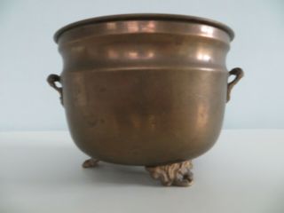 Vintage Brass Style Jardinière | Planter | Pot