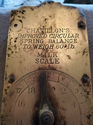 Vintage Antique Brass Chatillon Milk Scale N.  Y.  Capacity 60 Lb