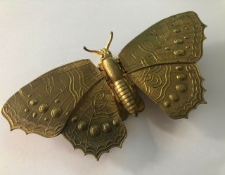 Rare Antique Butterfly Gilt Needle Case - W.  Avery & Son,  Redditch