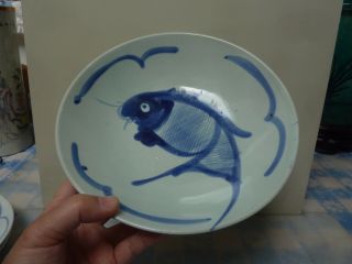 Vintage Chinese Hand Painted Blue And White Porcelain Koi Fish Bowl Plate 9”
