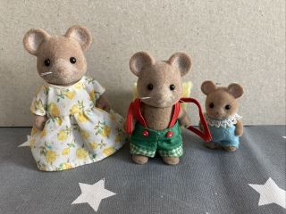 Sylvanian Families Rare Retired Vintage Norwood Mice Family Brie Endeavour Baby 2