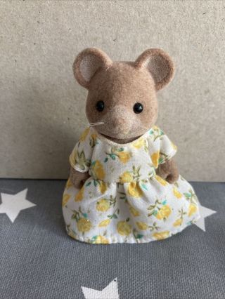 Sylvanian Families Rare Retired Vintage Norwood Mice Family Brie Endeavour Baby 3