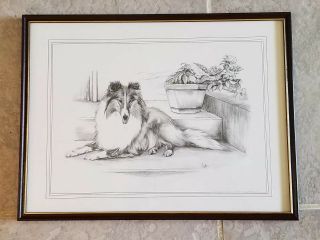 Vintage Framed Print Of Collie Dog Signed Vicki 16 3/4 " X 12 3/4 "