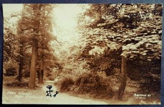 Rare J.  Hill Real Photo Postcard Park Woods - Near Eastcote Ruislip Unusual Stamps
