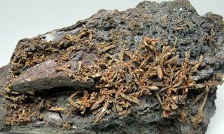 Bisbee - Uber Rare Native Copper Crystals Campbell Mine - Museum Grade Specimen 2