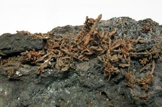 Bisbee - Uber Rare Native Copper Crystals Campbell Mine - Museum Grade Specimen 4