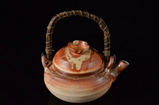 X8828: Japanese Shigaraki - Ware Youhen Pattern Teapot Kyusu Sencha Tea Ceremony