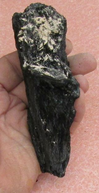 LARGE MINERAL SPECIMEN OF DRAVITE FROM SONORA,  MEXICO 2