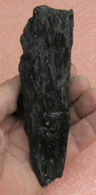LARGE MINERAL SPECIMEN OF DRAVITE FROM SONORA,  MEXICO 3