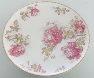 Antique Haviland & Co.  Limoges France Fine China Rose Plate - 9 1/4”