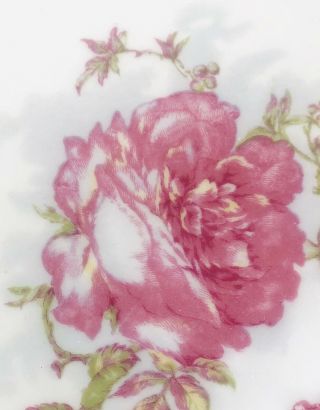 Antique Haviland & Co.  Limoges France Fine China Rose Plate - 9 1/4” 2