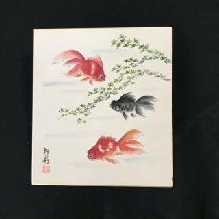Japanese Vintage Watercolor Paintings Shikishi " Pop - Eyed Goldfish” 2134