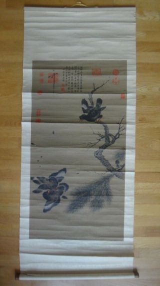 Antique Chinese Ink&color On Paper Eagles,  Pine Tree Hanging Scroll,  Various Seal