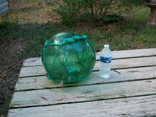 Large Vintage Japanese Hand Blown Green Glass Fishing Float Buoy Roped