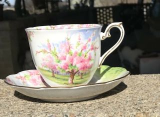 Vintage Royal Albert Bone China Blossom Time Tea Cup And Saucer