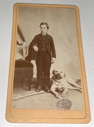 Rare Antique Victorian American Cute Pet Dog & Boy Springfield,  Ma Cdv Photo