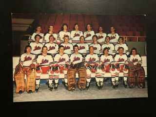 Rare 1972 - 73 Winnipeg Jets Team Photo Postcard Nmt Wha Team Issue