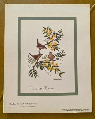 Anne Worsham Richardson Signed Print 1974 Carolina Wren With Yellow Jessamine