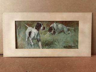 Rare Vintage G.  Muss Arnolt Lithograph Pointer Spaniels In The Field