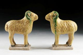 Sc Rare Chinese Ming Dynasty Tomb Pottery Figures Of Sheep