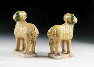 SC RARE CHINESE MING DYNASTY TOMB POTTERY FIGURES OF SHEEP 2