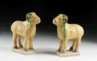 SC RARE CHINESE MING DYNASTY TOMB POTTERY FIGURES OF SHEEP 3
