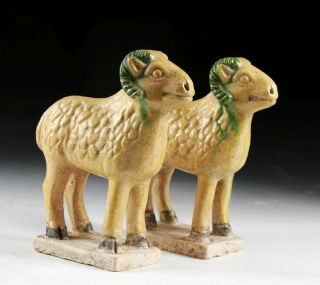 SC RARE CHINESE MING DYNASTY TOMB POTTERY FIGURES OF SHEEP 4