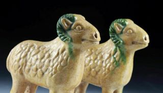 SC RARE CHINESE MING DYNASTY TOMB POTTERY FIGURES OF SHEEP 5