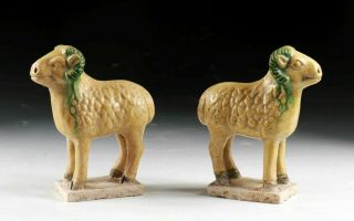 SC RARE CHINESE MING DYNASTY TOMB POTTERY FIGURES OF SHEEP 6
