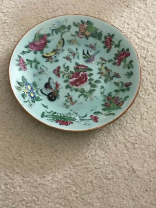 Antique Chinese Porcelain Famille Rose Celadon Plate Butterfly Lotus Root - 9 " D
