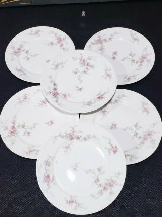 Set Of 6 Antique Theodore Haviland Limoges France 8 3/4 " Plates Pink Flowers