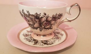 Vintage Queen Anne Bone China Tea Cup & Saucer Set Pink And Black Roses 4937