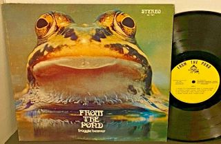 Rare Froggie Beaver From The Pond 1973 Private Press Prog Rock Lp Ex Vinyl